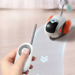 Cat chasing the interactive remote control toy car