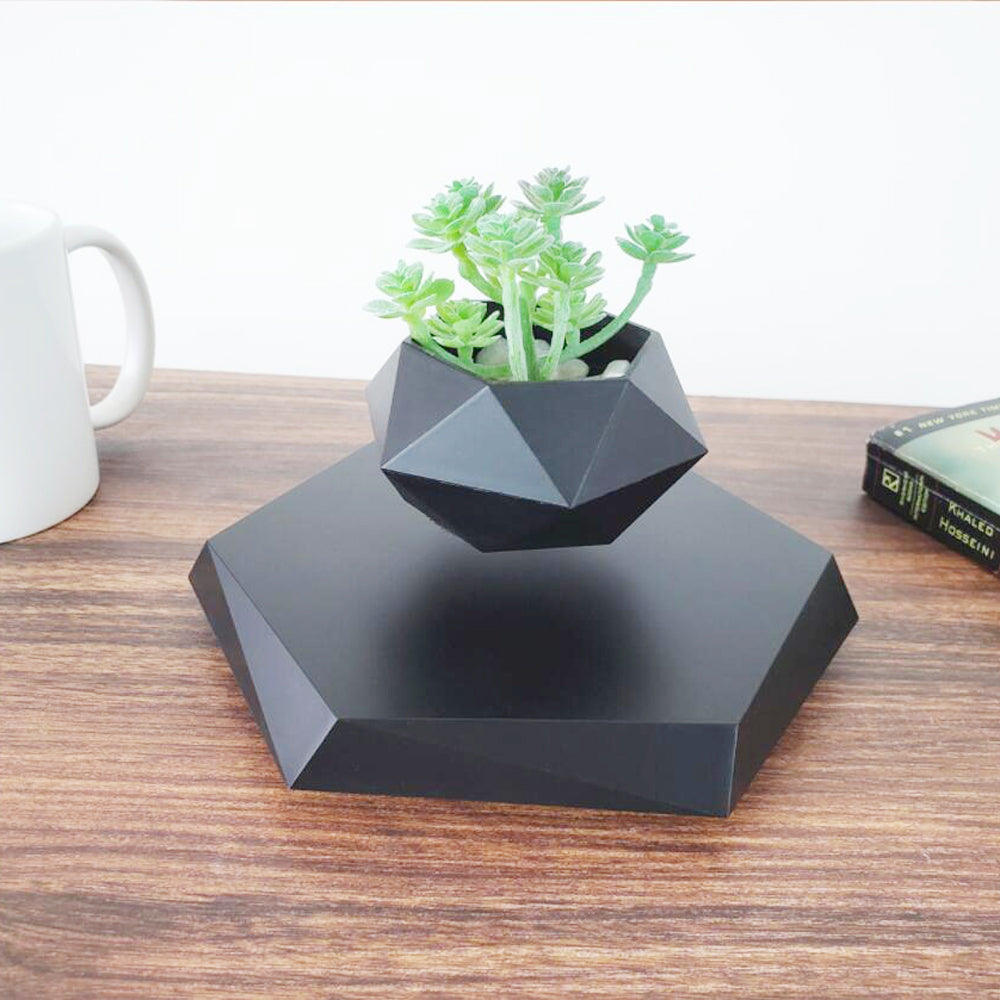 Levitating magnetic flower pot floating above its base