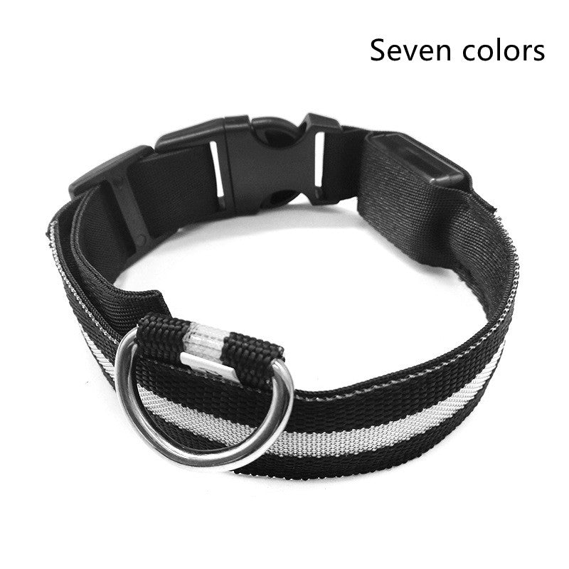 LED light-up dog collar, seven-colour option