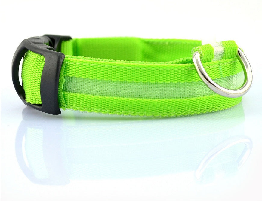 LED light-up dog collar in green, rechargeable