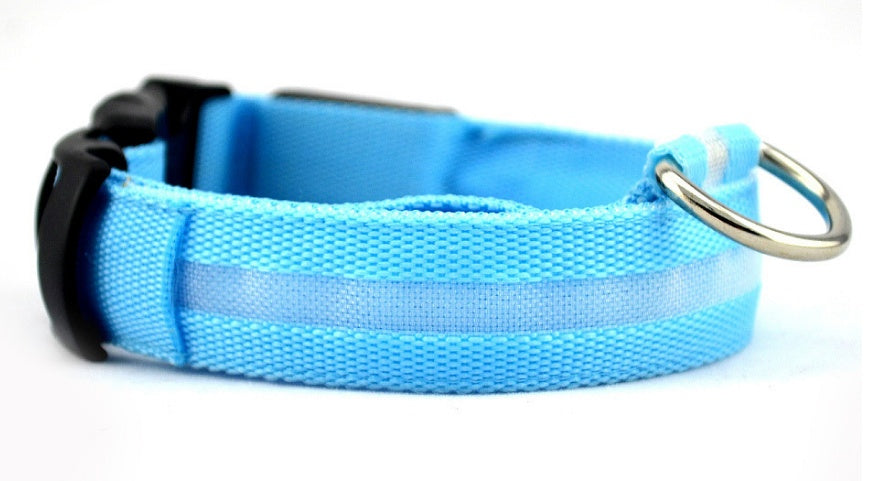 LED light-up dog collar in blue, rechargeable