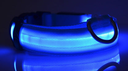LED light-up dog collar in blue, battery powered