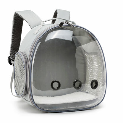 Transparent pet backpack carrier for small animals in grey