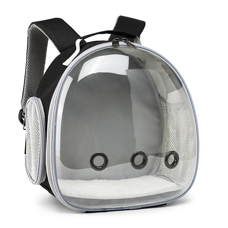 Transparent pet backpack carrier for small animals in black