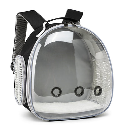 Transparent pet backpack carrier for small animals in black