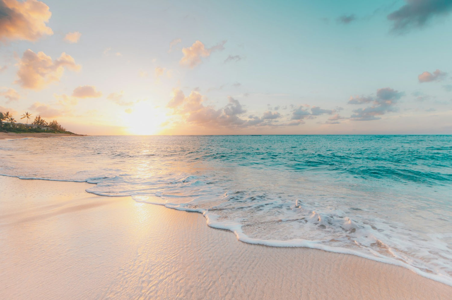 Coastal cove — KOV story